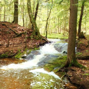 29351518_1878117918878524_675249073488104033_o