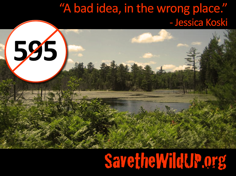 meme-595-badideawrongplace-wildcat