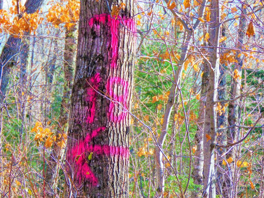 Turbine 18 Location directions