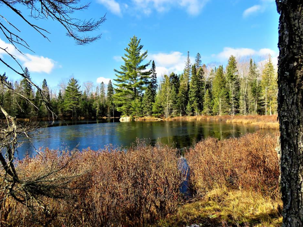 Headwaters and lake across the road from Turbine 18 location.