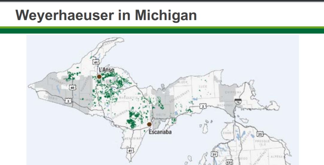 Weyerhaeuser Co. sells Michigan timberlands to Lyme Timber Puget